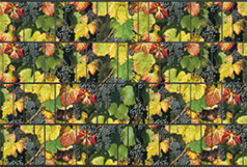 Zaundruck - Natur Zaundruck - Natur